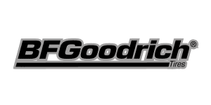 245/50R20 BFGoodrich Nordic Winter T/A KSI -